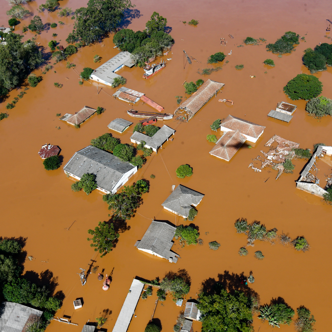 Academia do resgate (9)