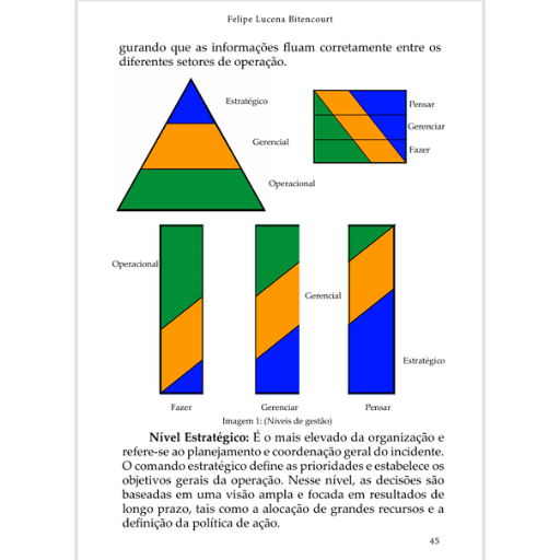 Como comandar um acidente com múltiplas vítimas _ Felipe Lucena Bitencourt (6)